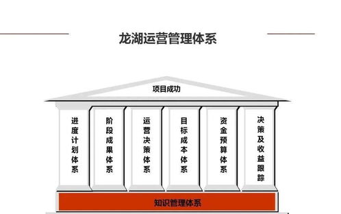 龍湖企業(yè)管理與運(yùn)營(yíng)精細(xì)化管理策略探析