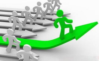 涂料代理商如何在白熱化競爭中脫穎而出——企業管理咨詢視角的策略解析